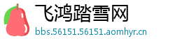 飞鸿踏雪网